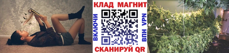 Где купить Королёв Амфетамин  СК  Каннабис  Кокаин 
