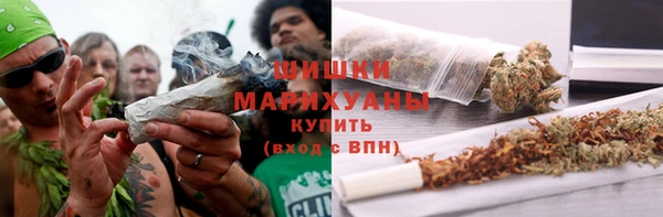 гидра Алзамай