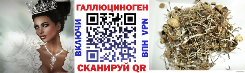 Галлюциногенные грибы прущие грибы  Королёв 